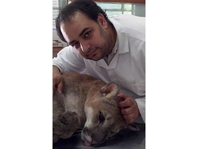 Dr. Thiago Laurenti Pimenta